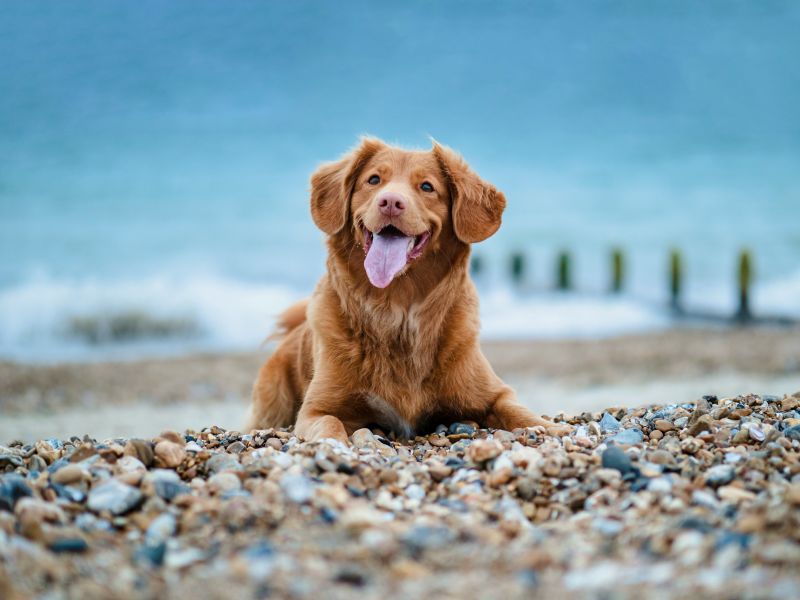 photo-1594922009922-d1665ed9ce44-a2a1c6db Urlaubsangebote am Kap Arkona auf R&uuml;gen